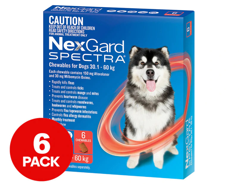 NexGard Spectra Dog