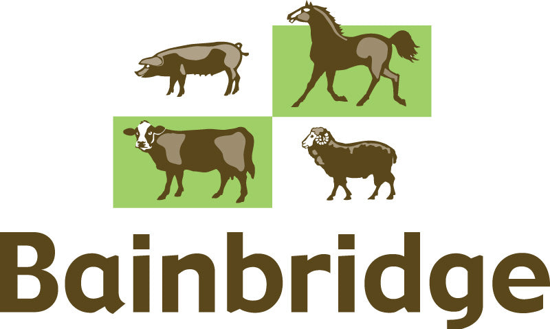 Bainbridge