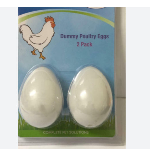 Avione Dummy Poultry Eggs 2 Pack