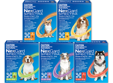 NexGard Spectra Dog