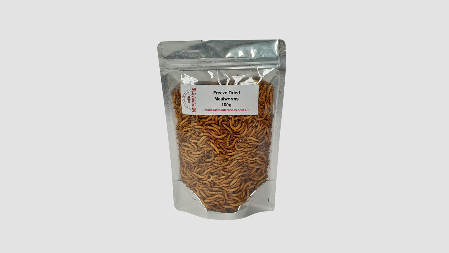 Minibeasts Freeze Dried