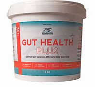 Vitazyme Gut Health PLUS 3KG