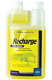 Virbac Recharge For Dogs 1L
