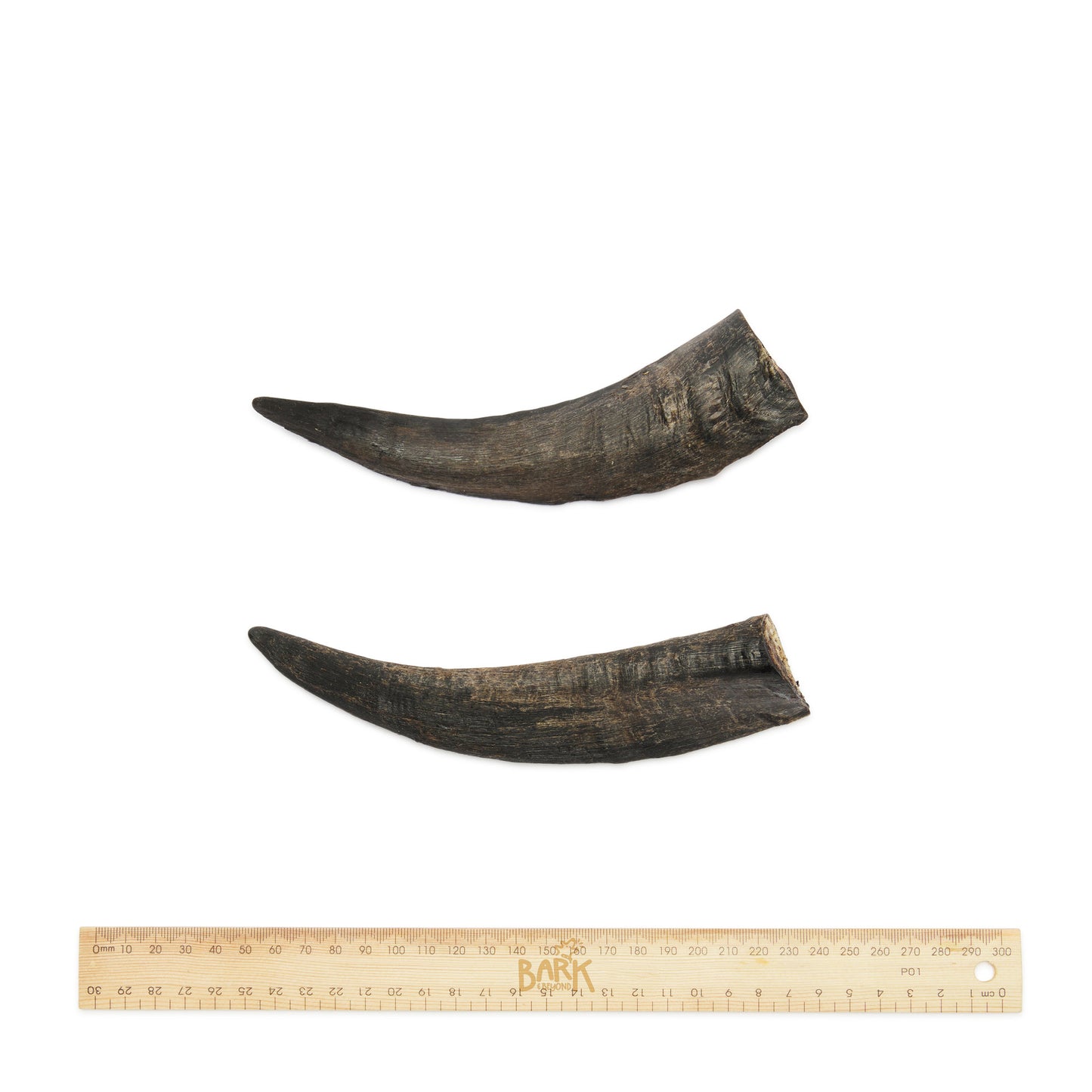 Bark & Beyond Goat Horn Medium