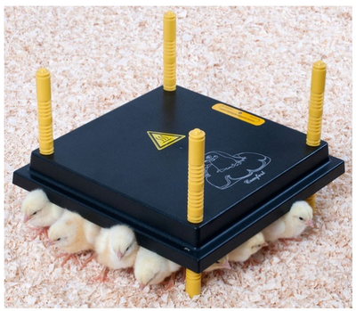 BF Chickplate Heating Plate