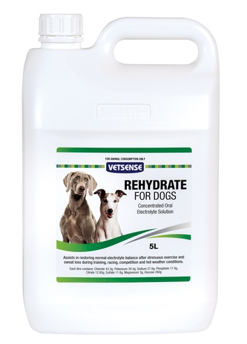 CM LABS REHYDRATE GREYHOUND