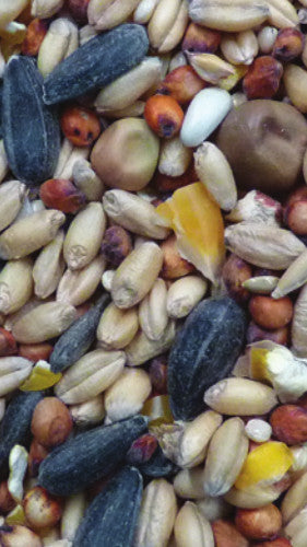 Avigrain Auntie Kate’s All Grain 20kg