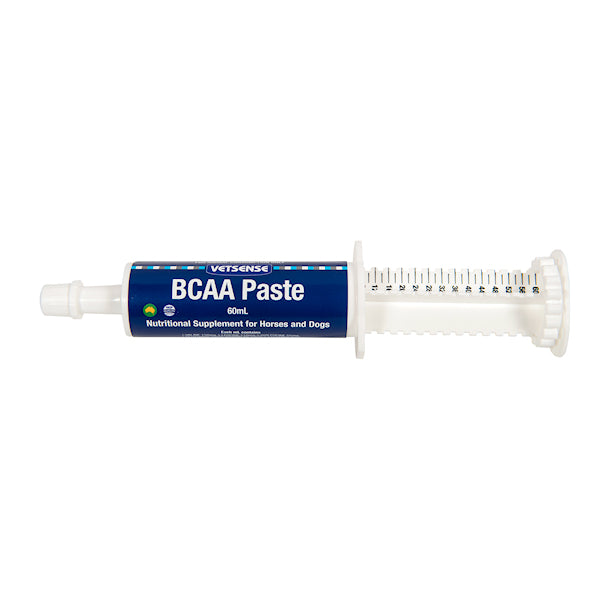 CM LABS BCAA PASTE 60ML