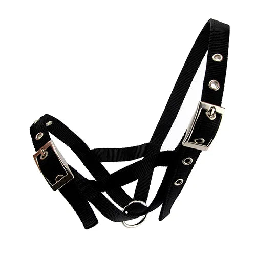 Bainbridge Cattle Halter Webbing