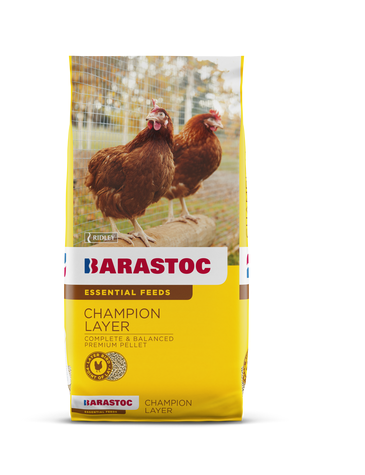 BARASTOC CHAMPION LAYER 20KG