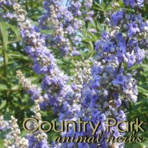 Country Park Chaste tree Berry Powder