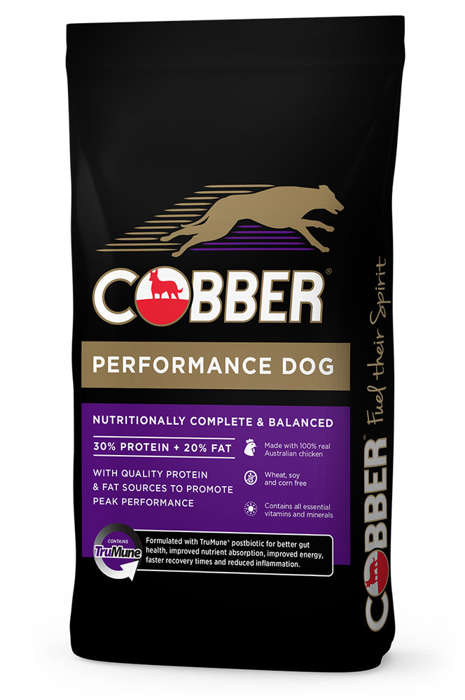 Cobber Dry Dog Food