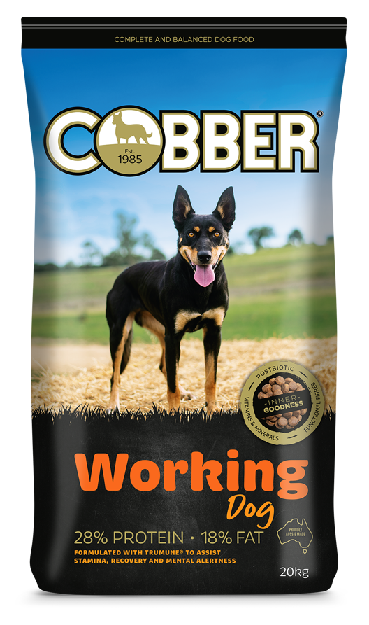 Cobber Dry Dog Food