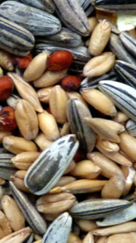 Avigrain Cocky Mix 20kg