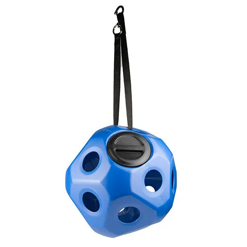 BainBridge Slow Feed Ball - Large