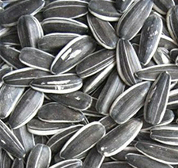 Avigrain Grey Stripe