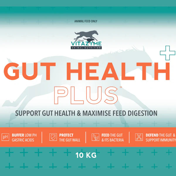 Vitazyme Gut Health Plus 10Kg