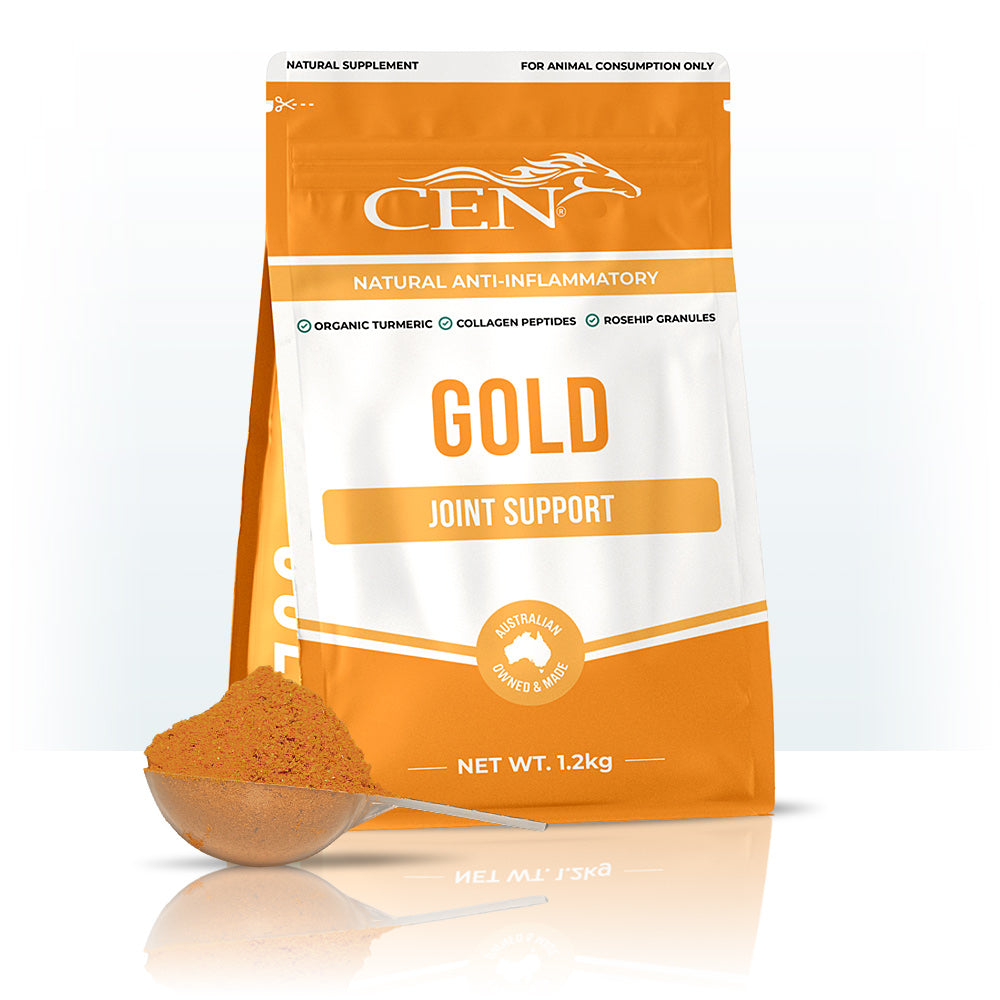 CEN Gold 1.2Kg