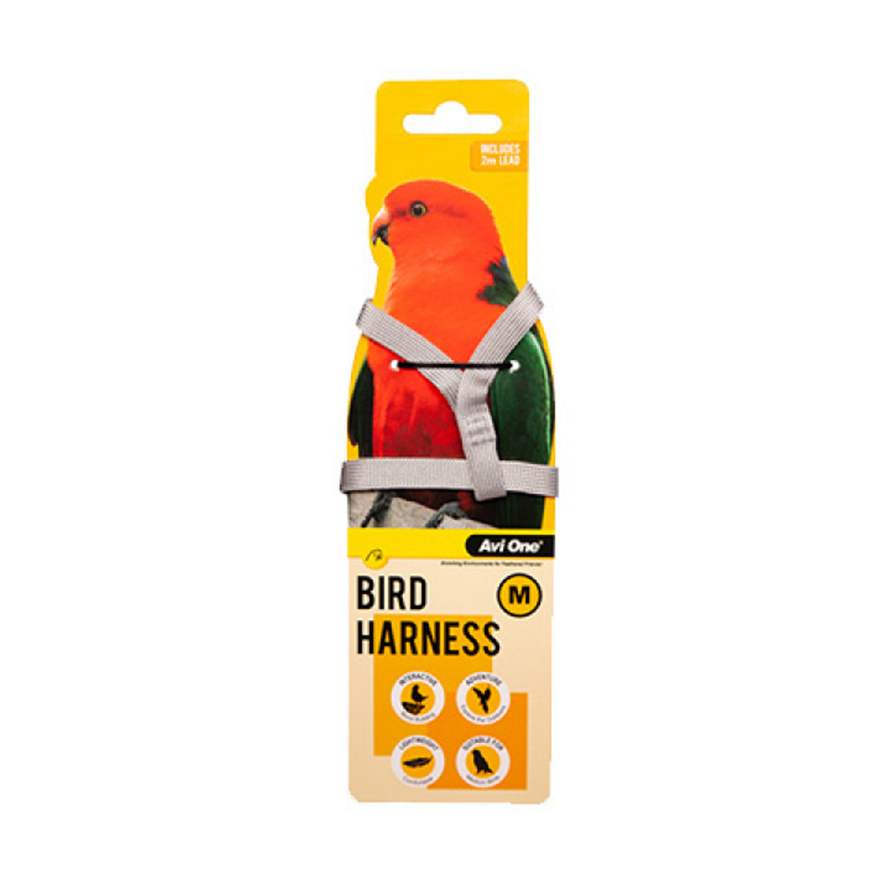 Bird Harness With Shock Resistant Lead