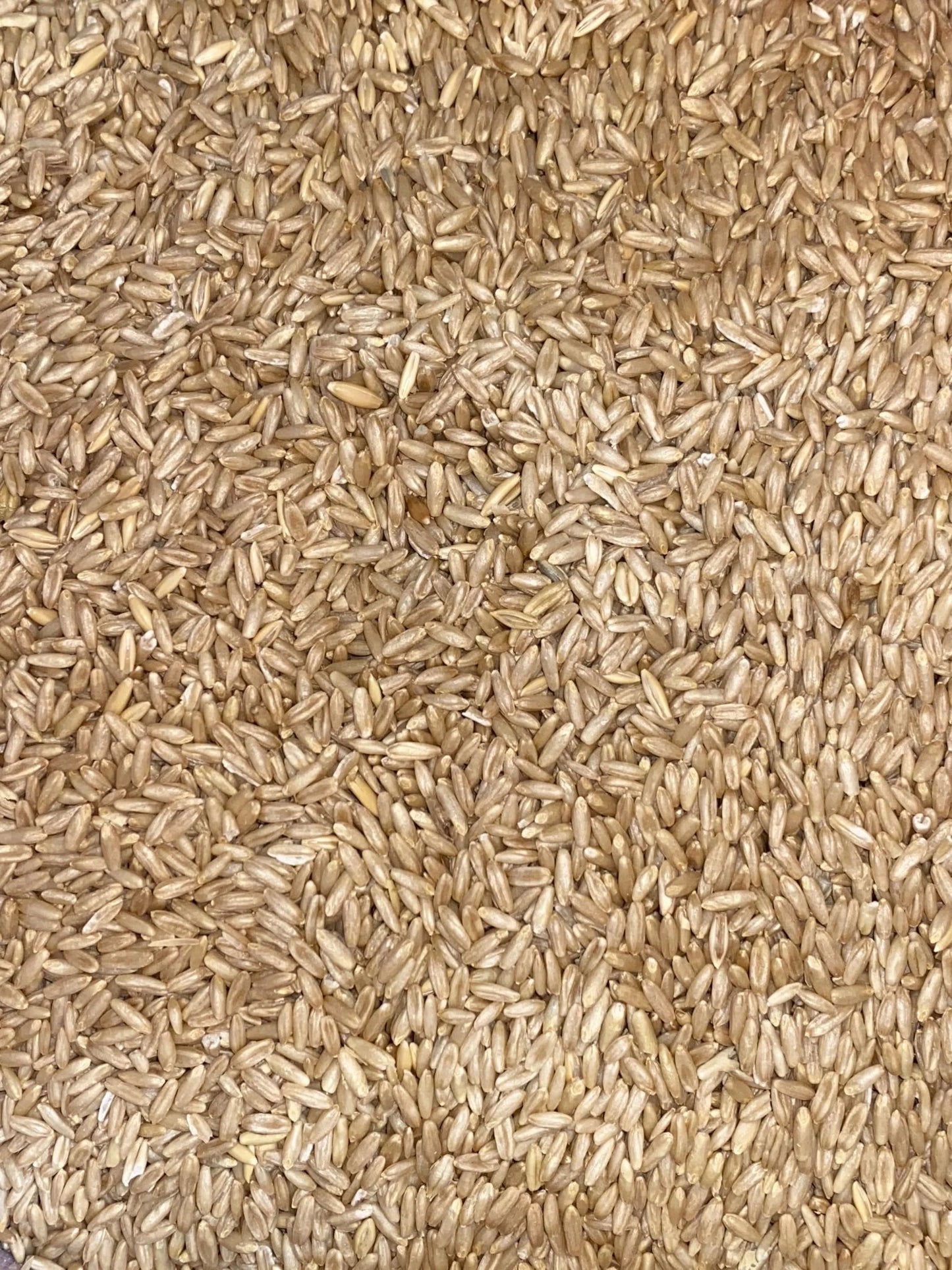 Avigrain Hulled Oats 20Kg
