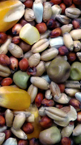 Avigrain Pigeon Mix 20Kg