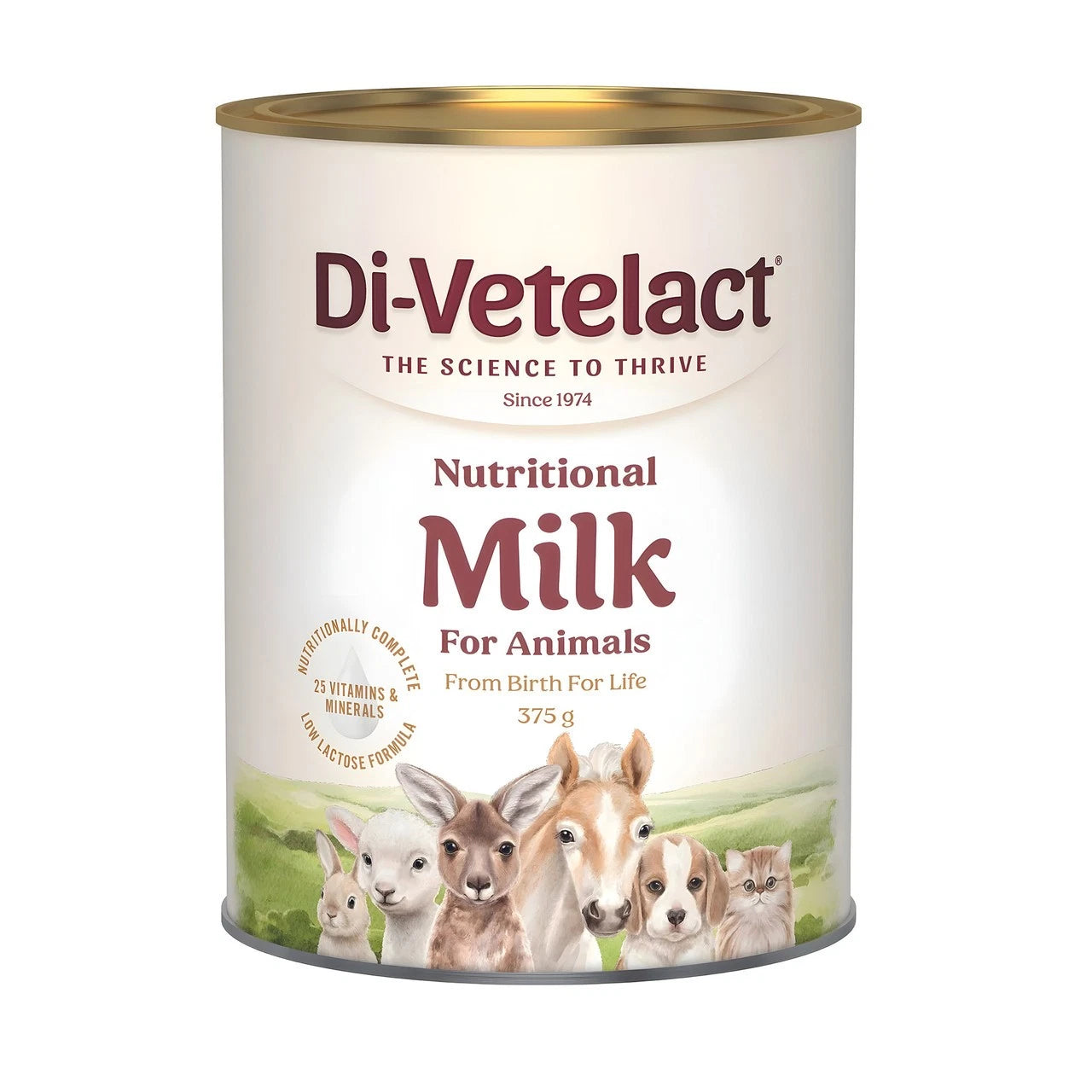 Divetelact