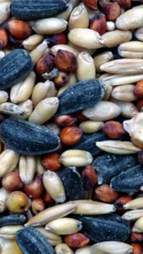 Avigrain Wild Bird Mix 20kg