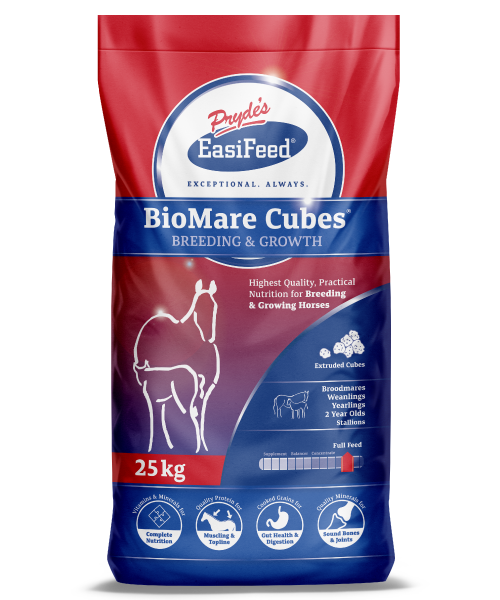 Prydes BioMare Cubes 20kg