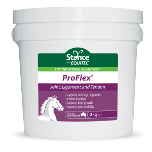 Stance Equitec ProFlex