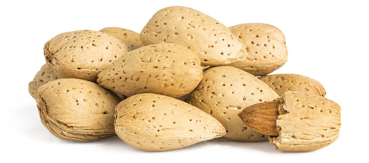 Whole Almond Nuts in Shell 5kg