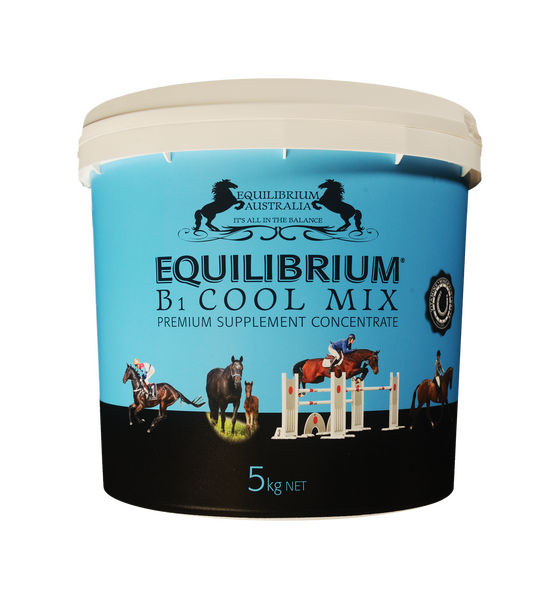 Equilibrium B1 Cool Mix 5kg Blue