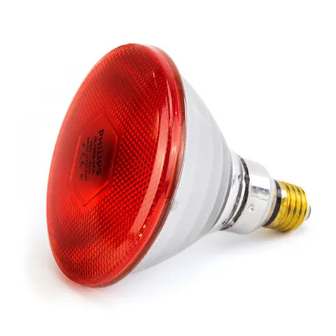 PHILLIPS INFRARED LIGHT BULB