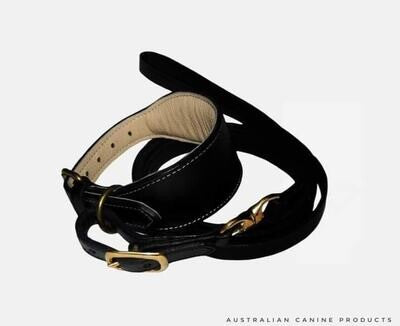 Leather Collar Lead Set Race Colours