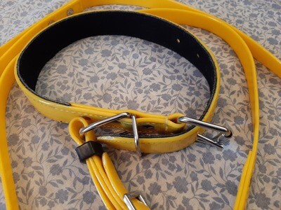 PVC Collar Lead Set Race Colours