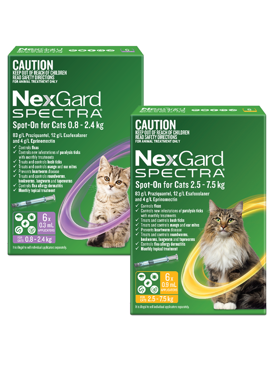 Nexgard Spectra Cat