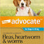 Advocate Flea & Worming Treatment