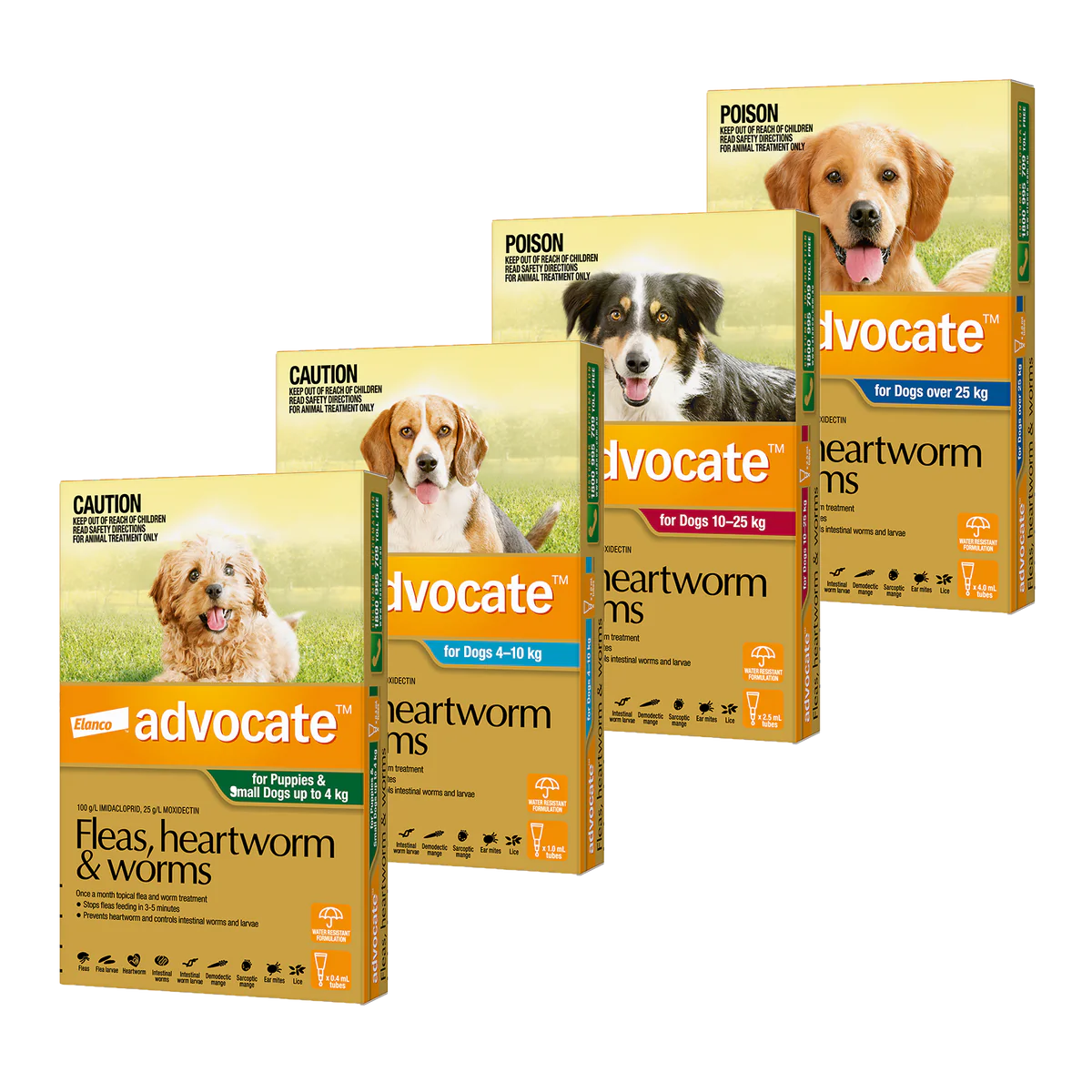 Advocate Flea & Worming Treatment