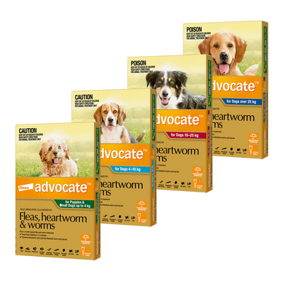 Advocate Flea & Worming Treatment