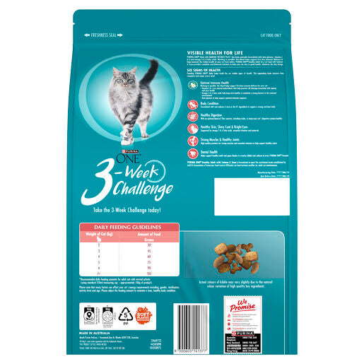 Purina ONE Adult Healthy Salmon 6kg