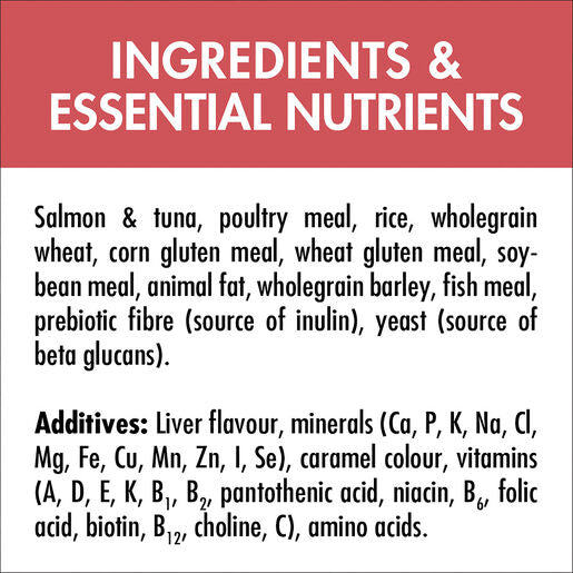 Purina ONE Adult Healthy Salmon 6kg