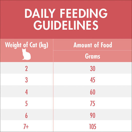 Purina ONE Adult Healthy Salmon 6kg