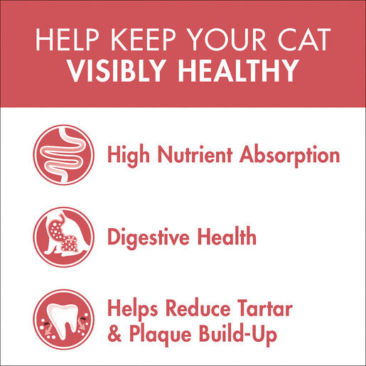 Purina ONE Adult Healthy Salmon 6kg