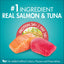 Purina ONE Adult Healthy Salmon 6kg