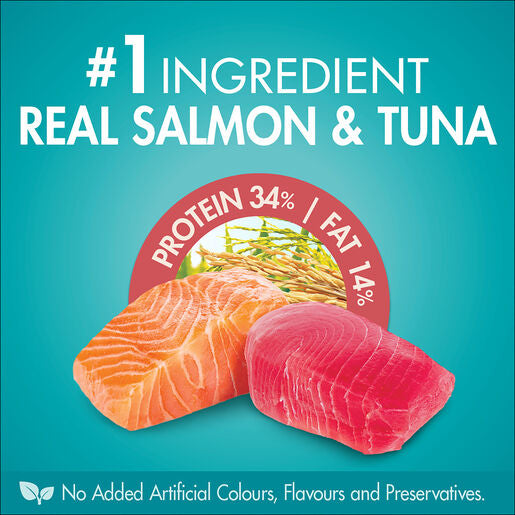 Purina ONE Adult Healthy Salmon 6kg