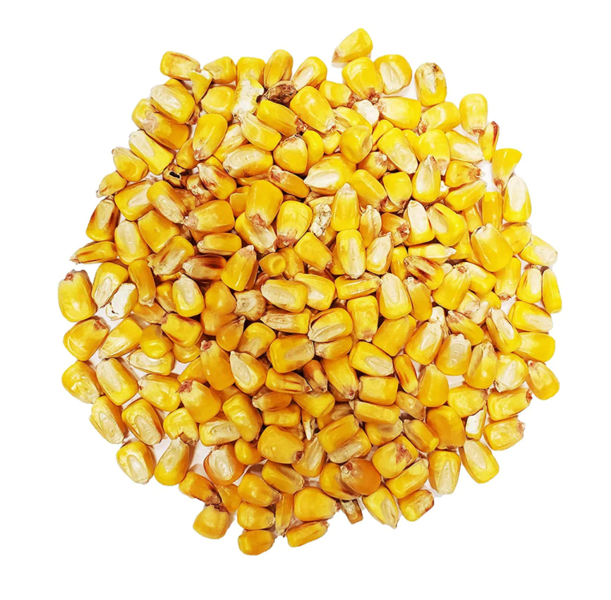 Avigrain Corn 20kg