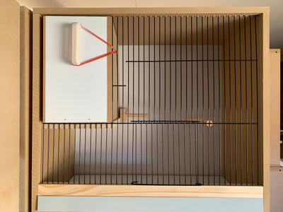 Wooden Parrot Box Small