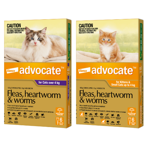 Advocate Flea & Worming Treatment