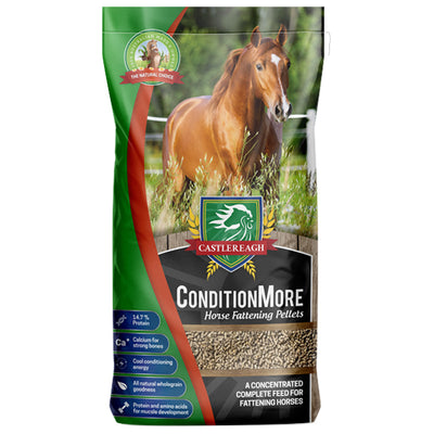 Castlereagh ConditionMore 20kg