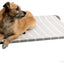 Pet One Leisure Raised Dog Beds