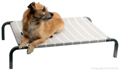 Pet One Leisure Raised Dog Beds